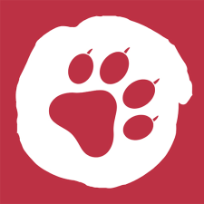 Avatar for Oleksii Samara from gravatar.com