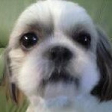 Avatar for nk113 from gravatar.com