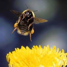 Avatar for Vyacheclav Butorov from gravatar.com