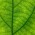 Avatar for wiktor-k from gravatar.com
