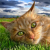 Avatar for murminathor from gravatar.com