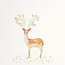 Avatar for kuangcp from gravatar.com