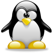 Avatar for dudez from gravatar.com