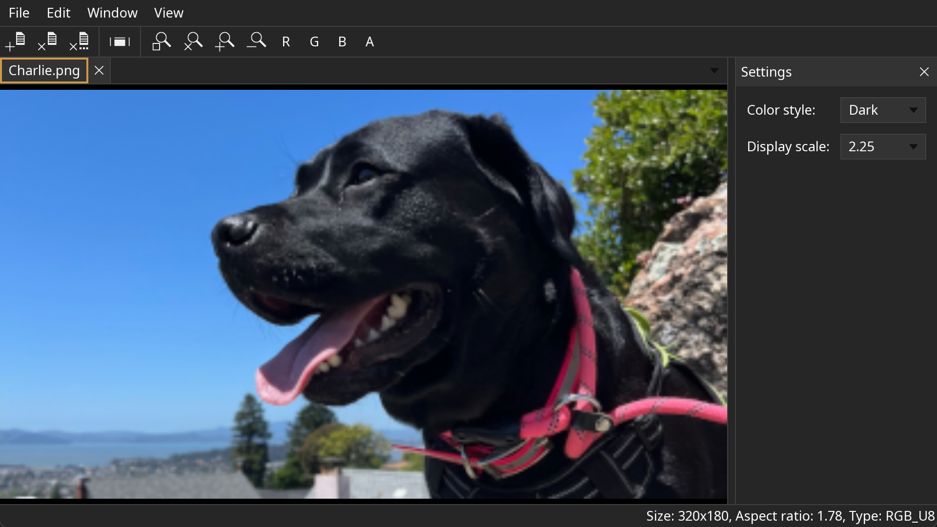 Image viewer example