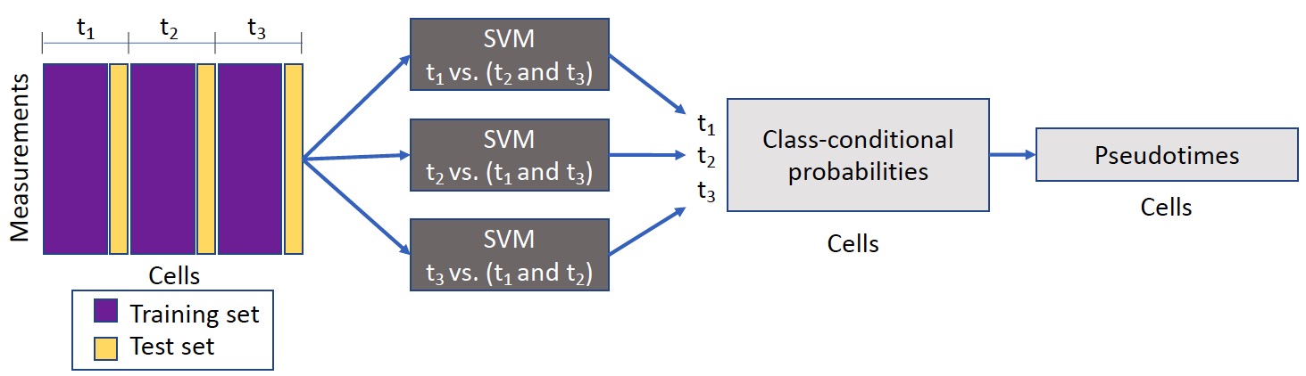 Sceptic schematic