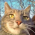 Avatar for cubx from gravatar.com