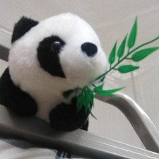 Avatar for 秋纫 from gravatar.com