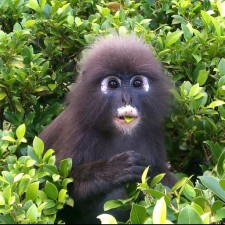 Avatar for krgr from gravatar.com