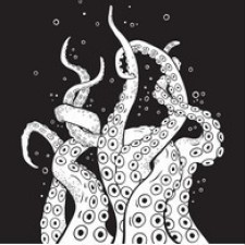 Avatar for Craig Parravicini from gravatar.com