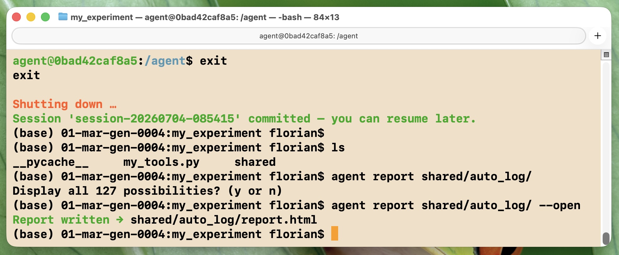 Terminal window showing a freshly launched Claude Code instance