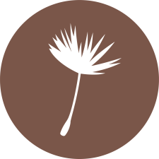 Avatar for reedvoid from gravatar.com