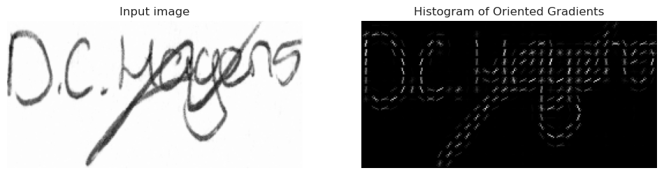 hog example