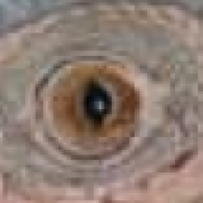 Avatar for David.Poole from gravatar.com