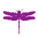 Avatar for a11ce from gravatar.com