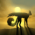 Avatar for VannTen from gravatar.com