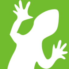 Avatar for lizardsystems from gravatar.com