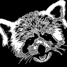 Avatar for Jeff.Ciesielski from gravatar.com