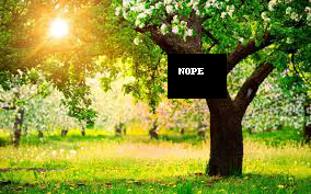 https://raw.githubusercontent.com/montoyamoraga/protestpy/gh-pages/example-trees/44.png