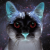 Avatar for vakovlaskii from gravatar.com