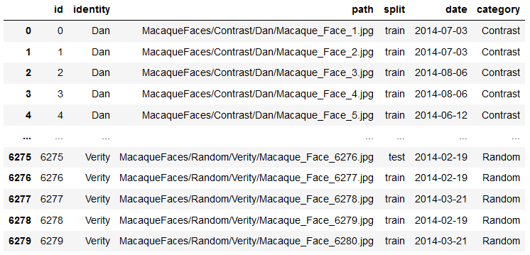 Overview of the MacaqueFaces dataset