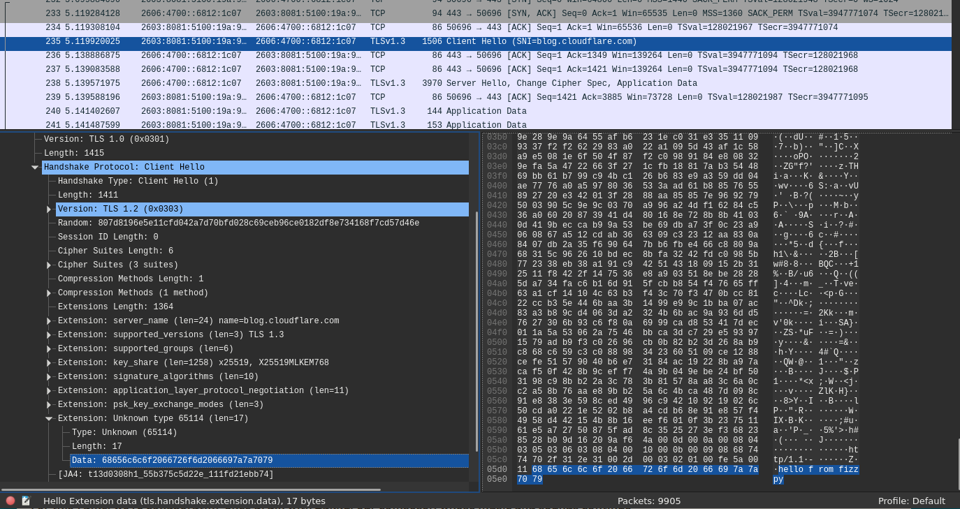 A fizzpy ClientHello in Wireshark