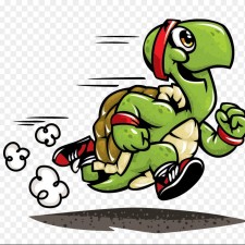 Avatar for Sheldon turtle from gravatar.com