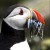 Avatar for wagenaartje from gravatar.com