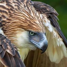 Avatar for dharmasnow from gravatar.com