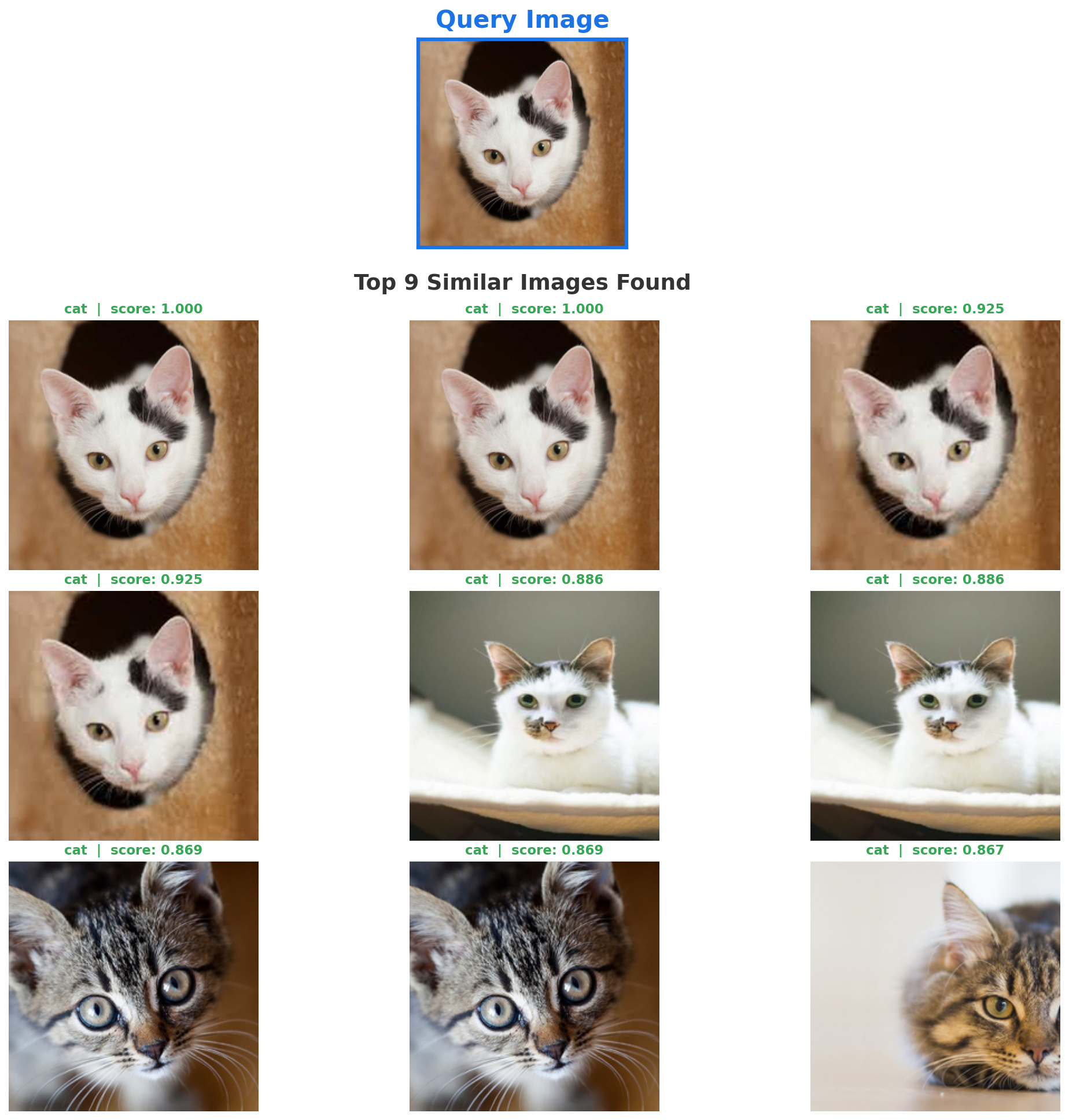 Image to Image Search