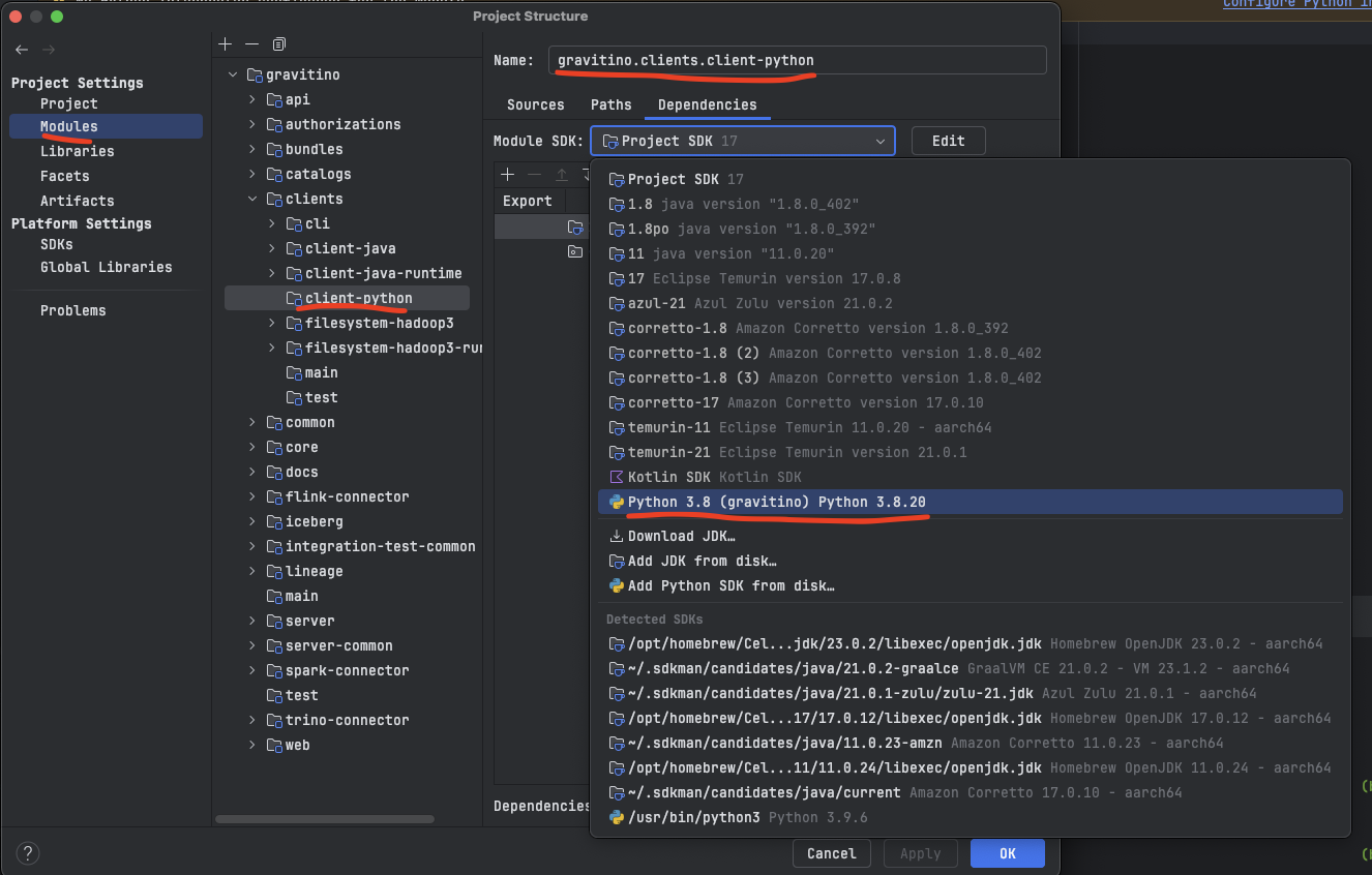 Configure python module sdk