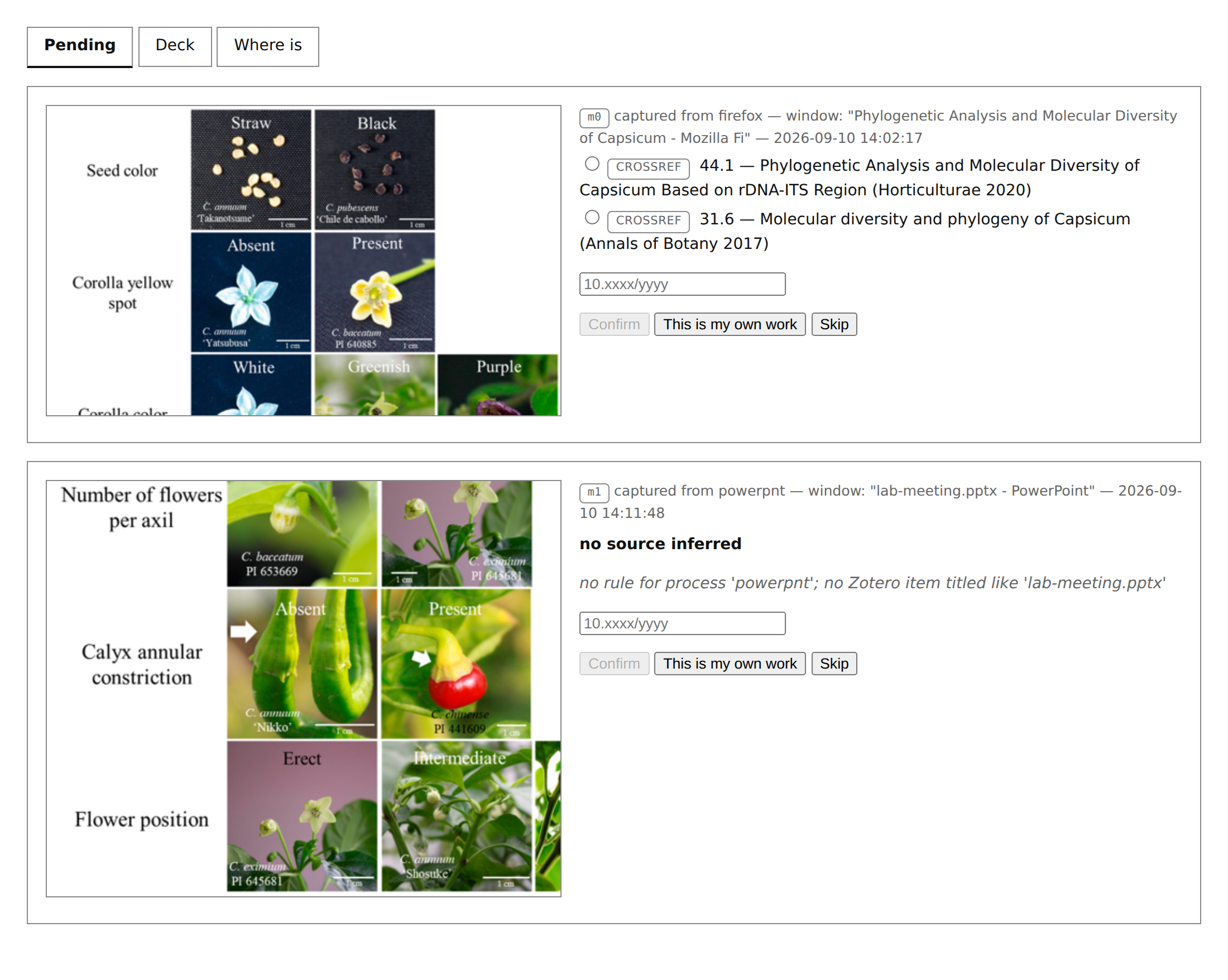 The Pending tab: each capture shows its thumbnail, the app and window title it was snipped from, CrossRef candidates with radio buttons, a DOI field, and Confirm / This is my own work / Skip buttons
