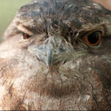 Avatar for Brian.Cajes from gravatar.com