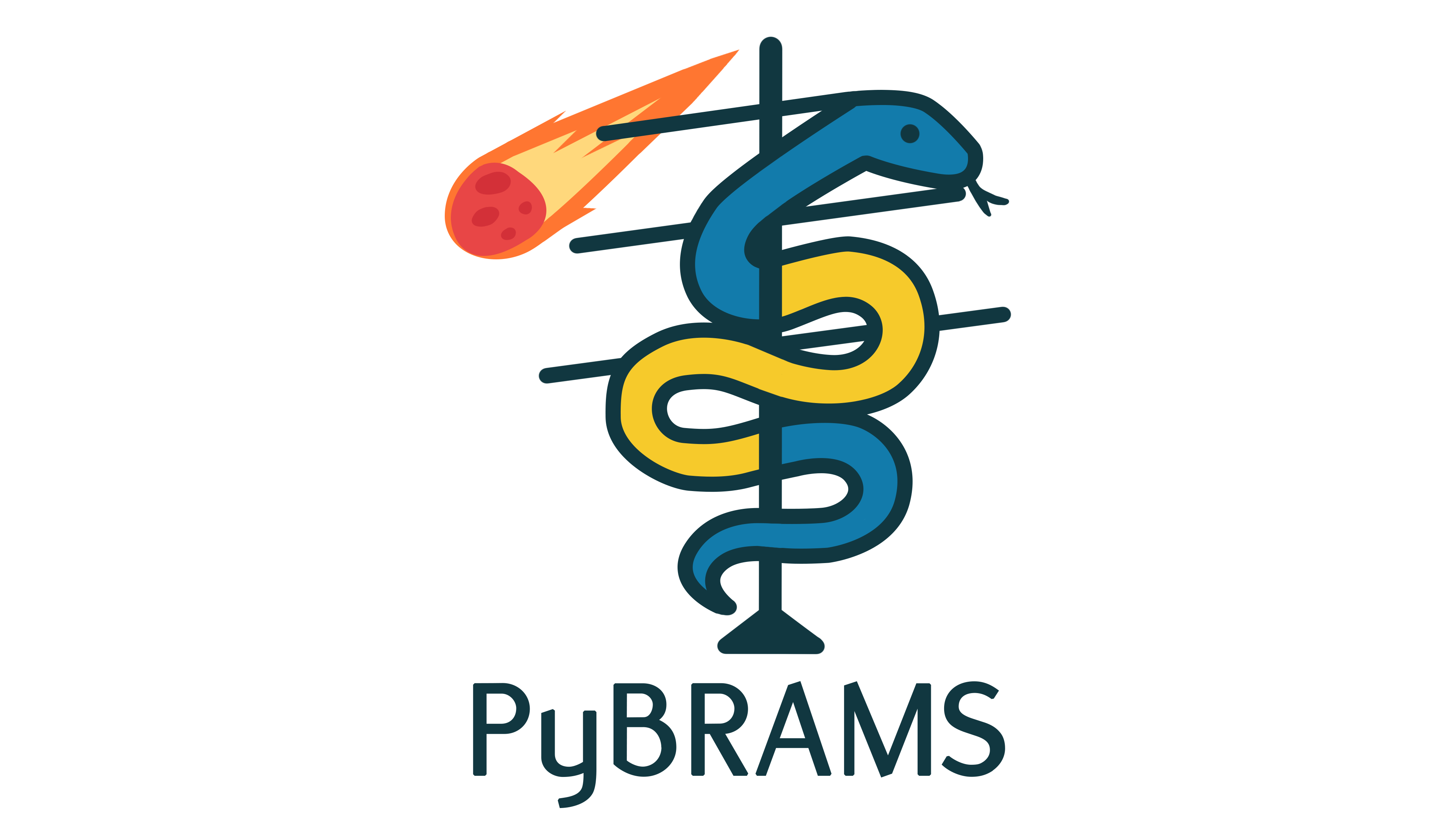 PyBRAMS logo