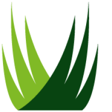 Avatar for SYNLawn from gravatar.com