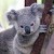 Avatar for Tada0 from gravatar.com