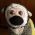 Avatar for hay from gravatar.com