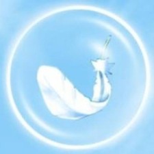 Avatar for Daqi Song from gravatar.com