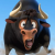 Avatar for tokoyi from gravatar.com