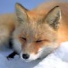 Avatar for Jakob Voß from gravatar.com