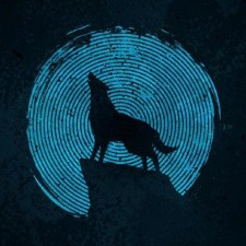 Avatar for Teemu Vikøren from gravatar.com