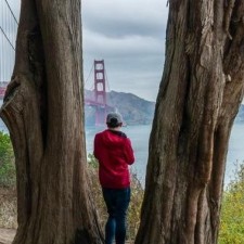 Avatar for Ruairidh MacLeod from gravatar.com