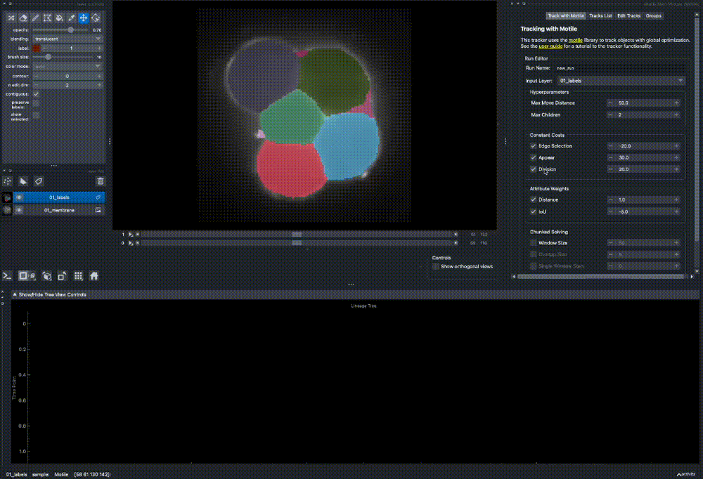 motile_tracker_quick_demo