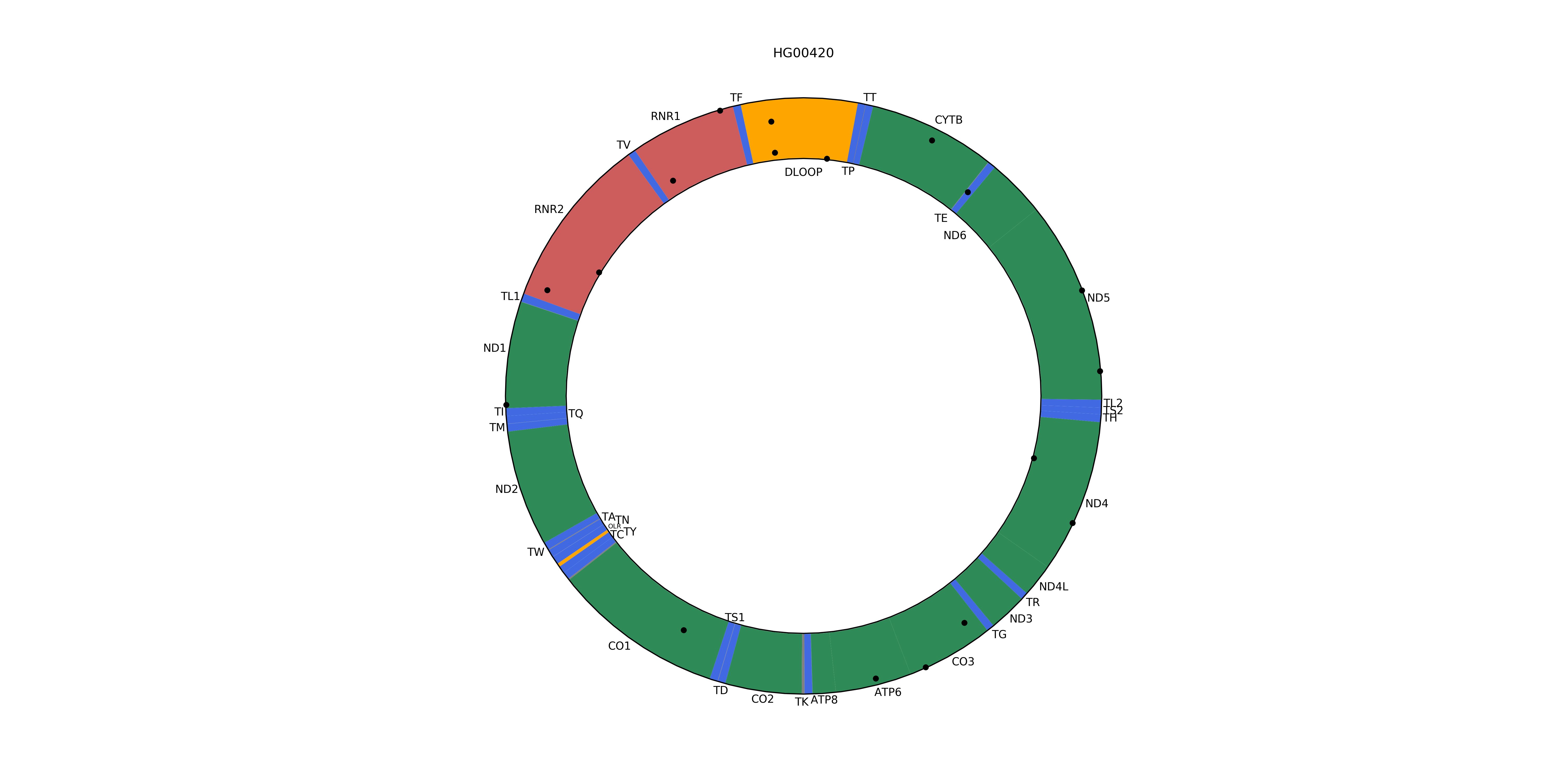 Mitochondrial plot with HF