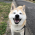 Avatar for kiseryota from gravatar.com