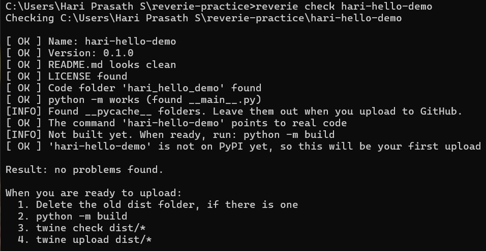 reverie check on a demo project