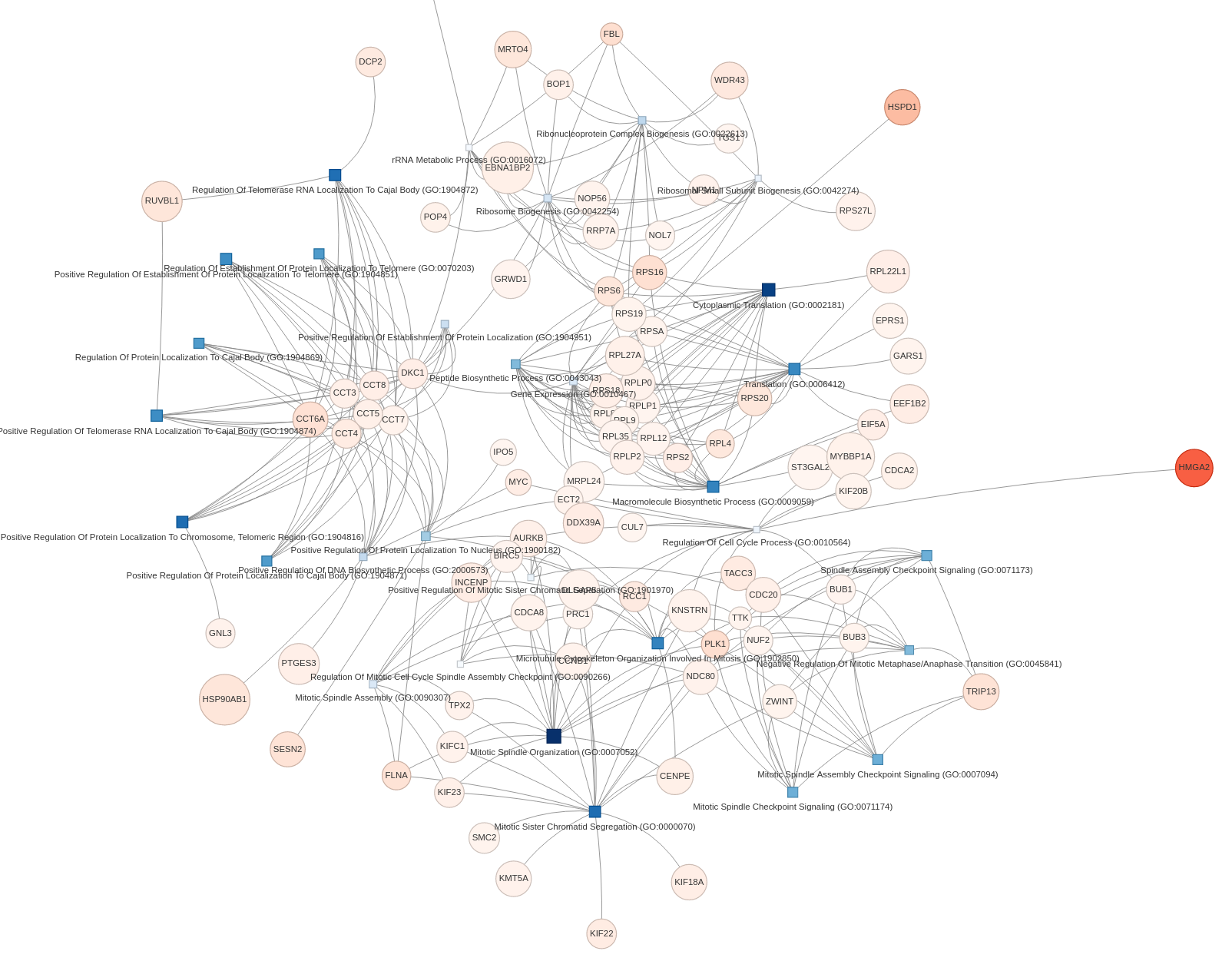 network.png