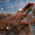 Avatar for exopto from gravatar.com