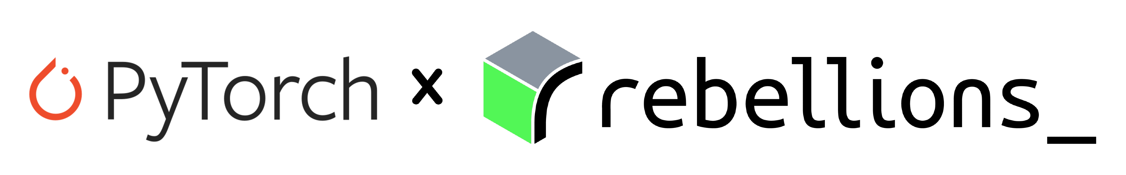 PyTorch RBLN
