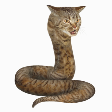 Avatar for a9lim from gravatar.com