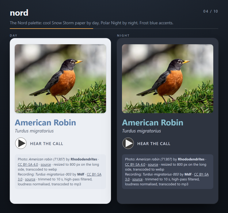 The nord theme